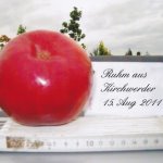 Apfel Ruhm aus Kirchwerder